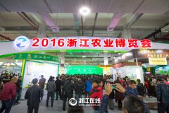看展覽、嘗美食、囤年貨 2016浙江農(nóng)博會
